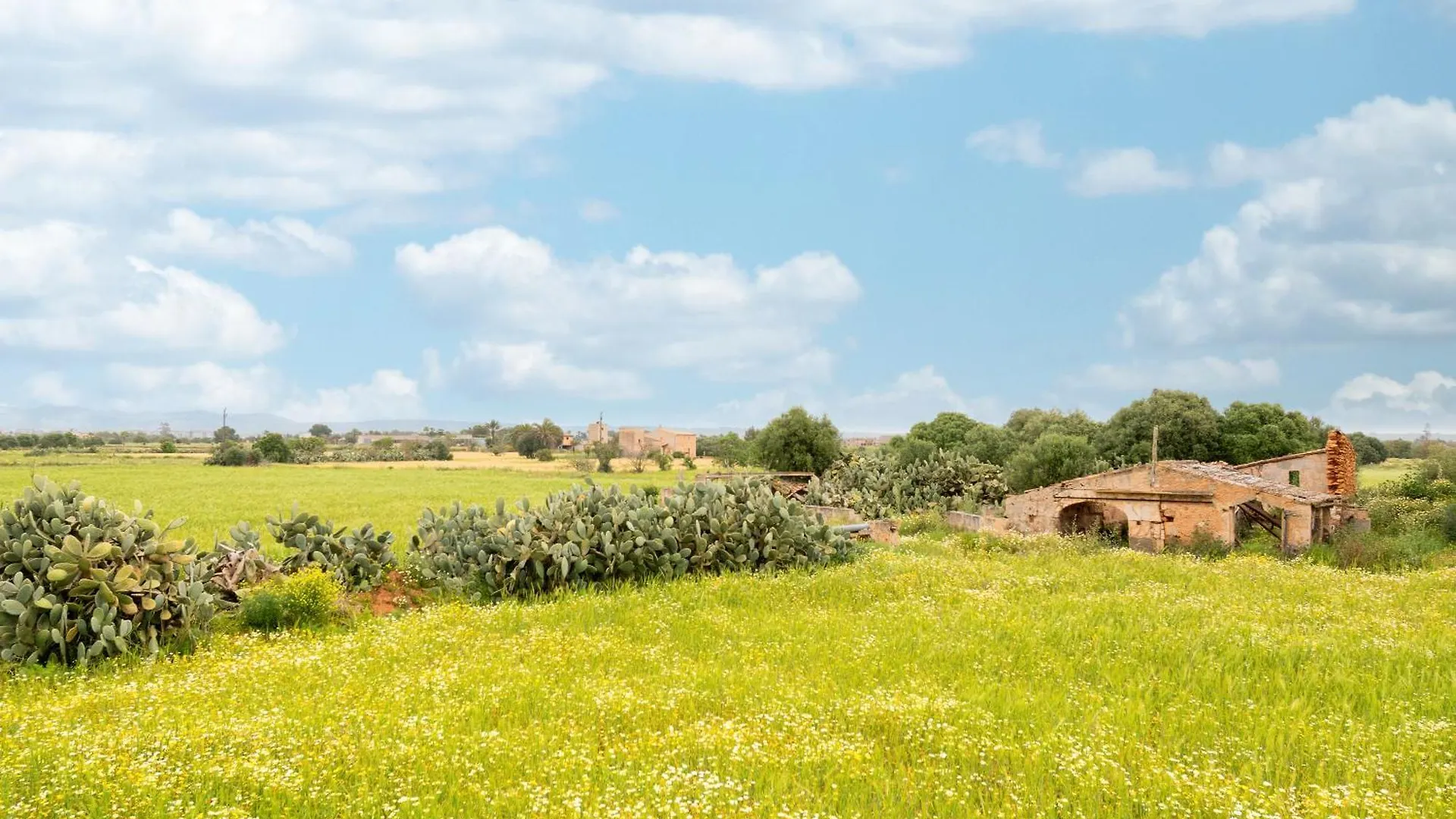 Finca Sant Blai Nou Campos  Campos (Mallorca)