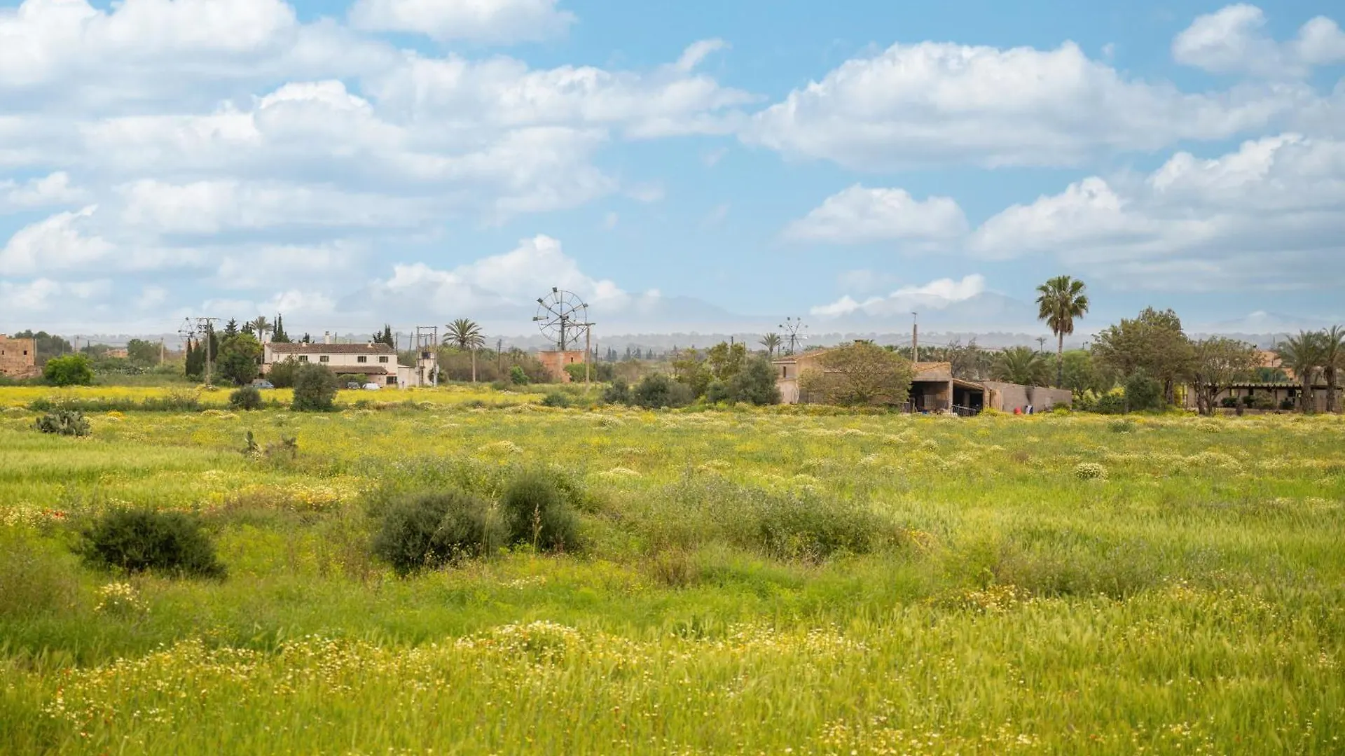 Vakantiehuis Finca Sant Blai Nou Campos  Spanje